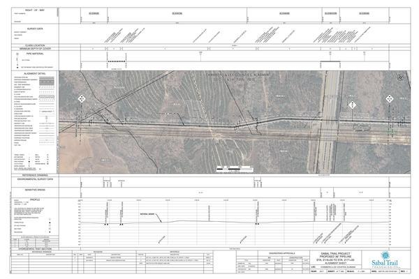 1657-PL-DG-70197-041, STA. 2118+00 TO STA. 2171+00, MP 40.11, MP 41, MP 41.12, GAS PIPELINE, (UT HALAWAKEE CREEK), CHAMBERS & LEE COUNTIES, ALABAMA