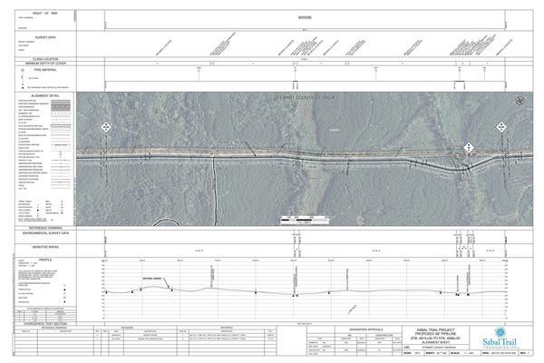 1657-PL-DG-70197-094, STA. 4915+00 TO STA. 4968+00, MP 93.09, MP 94, MP 94.09, KINDER MORGAN PIPELINE, HANNAHATCHEE CREEK), STEWART COUNTY, GEORGIA