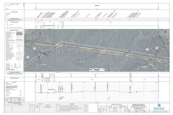 1657-PL-DG-70197-097, STA. 5074+00 TO STA. 5125+00, 5083+53 DIXIE PIPELINE, 5076+44 CL COLOCHEE CREEK, 5076+37 CL COLOCHEE CREEK, (UT COLOCHEE CREEK), STEWART COUNTY, GEORGIA