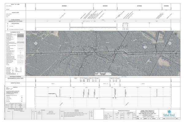 1657-PL-DG-70197-129, STA. 6768+00 TO STA. 6821+00, MP 128.18, MP 129, MP 129.19, (UT MOSSY BRANCH), 6788+73 CL CREEK, KINDER MORGAN PIPELINE, TERRELL COUNTY, GEORGIA