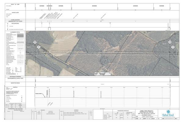 1657-PL-DG-70197-134, STA. 7021+00 TO STA. 7074+00, MP 132.97, MP 133, MP 133.98, MP 134, KINDER MORGAN PIPELINE, PIPELINE FACILITY, 7026+60 CL BUCK JONES ROAD, PIPELINE (2' COV.), TERRELL COUNTY, GEORGIA