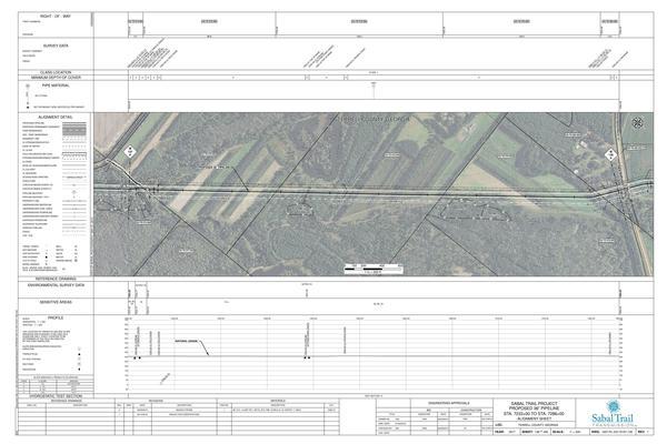 1657-PL-DG-70197-138, STA. 7233+00 TO STA. 7286+00, MP 137, MP 138, (UT FOWLTOWN CREEK), (UT MIDDLE CREEK), KINDER MORGAN PIPELINE, EDONIA ROAD), TERRELL COUNTY, GEORGIA