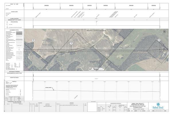 1657-PL-DG-70197-177, STA. 9224+00 TO STA. 9277+00, MP 174.7, MP 175, MP 175.7, KINDER MORGAN PIPELINE, 9187 GRAVEL HILL RD, Doerun, GA 31744, MITCHELL COUNTY, GEORGIA, 31.389215, -84.054792