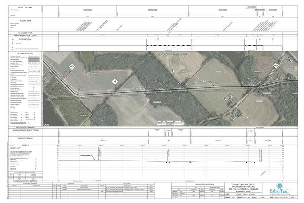 1657-PL-DG-70197-207, STA. 10810+00 TO STA. 10863+00, MP 204.73, MP 205.74, 10857+77 CL PLYMEL ROAD, (UT HOG CREEK), see later variance, COLQUITT COUNTY, GEORGIA, 31.070209, -83.730753