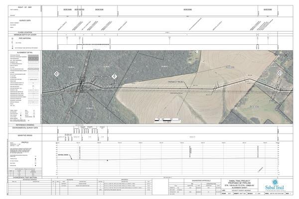 1657-PL-DG-70197-209, STA. 10916+00 TO STA. 10969+00, MP 206.74, MP 207, MP 207.75, KINDER MORGAN PIPELINE, 10964+28 CL ELHAM ROAD, 10921+34 CL CROSBY ROAD, Hog Creek, COLQUITT COUNTY, GEORGIA, 31.059151, -83.717034