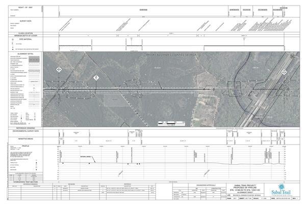 1657-PL-DG-70197-233, STA. 12188+00 TO STA. 12241+00, MP 230.83, MP 231, MP 231.84, HDD, WIthlacoochee RIver, CL US-84/CR-38 (THOMASVILLE ROAD), CL CSX RAILROAD, US 221, Wiregrass Georgia Parkway, BROOKS & LOWNDES COUNTIES, GEORGIA, 30.795749, -83.453178