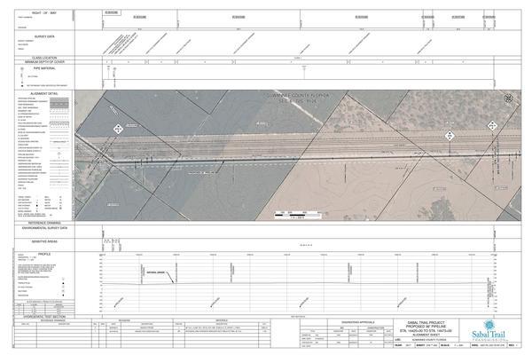 1657-PL-DG-70197-276, STA. 14420+00 TO STA. 14473+00, MP 273.11, MP 274, MP 274.11, SUWANNEE COUNTY, FLORIDA, 30.346549, -83.159620