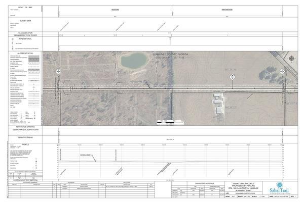 1657-PL-DG-70197-306, STA. 16010+00 TO STA. 16063+00, MP 303.22, MP 304, MP 304.22, FGT PIPELINES, 244TH STREET, Barnes Pine Straw, SUWANNEE COUNTY, FLORIDA, 30.011536, -82.852509