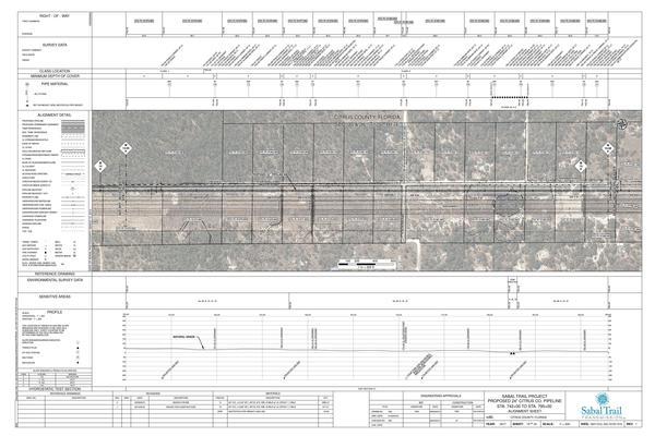1657-CCL-DG-70197-015, STA. 742+00 TO STA. 795+00, N VELVETEEN POINT, 772+56 CL VELVETEEN POINT, W. HUNTERHILL STREET, TAR-CCL-FL-CI-0005, W HUNTERHILL STREET, 6820 N Velveteen Point, Dunnellon, FL 34433, PROPOSED 24-inch CITRUS CO. PIPELINE, CITRUS COUNTY, FLORIDA, 28.962712, -82.557965