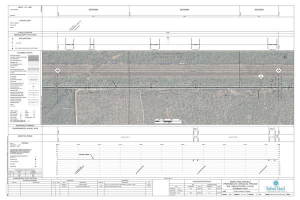 1657-CCL-DG-70197-021, STA. 1060+00 TO STA. 1113+00, PROPOSED 24-inch CITRUS CO. PIPELINE, CITRUS COUNTY, FLORIDA, 28.96177, -82.65684