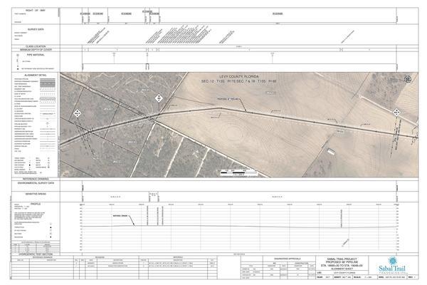 1657-PL-DG-70197-363, STA. 18995+00 TO STA. 19048+00, MP 359.75, MP 360, MP 360.76, 19007+75 CL FUTURE ROAD, STT MP 360.0, LEVY COUNTY, FLORIDA, 29.363775, -82.5566277777778