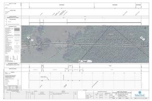 [1657-HCL-DG-70197-004, STA. 157+00 TO STA. 210+00, MP 2.97, MP 3.98, sinkhole, Buckles Bend, PROPOSED 36-inch HUNTERS CREEK PIPELINE, OSCEOLA COUNTY, FLORIDA, 28.284049, -81.510311]