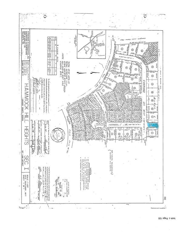 Survey Plat, Hammock Hill Heights