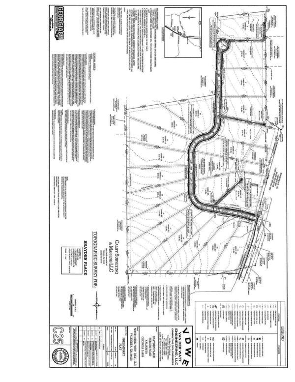 Topographic SURVEY: Brayden Place