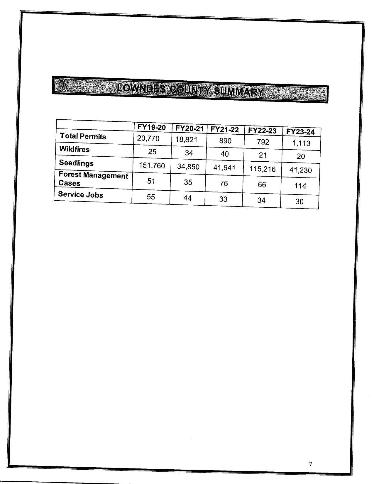 Lowndes County Summary