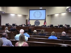 [5.d. Appointments - South Georgia Community Service Board]