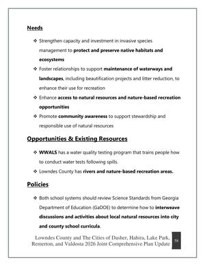 [Needs, Opportunities & Existing Resources, Policies]