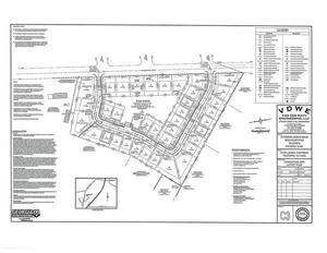 [Conceptual Site Plan]